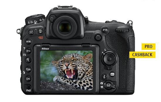 Nikon_D500.JPG