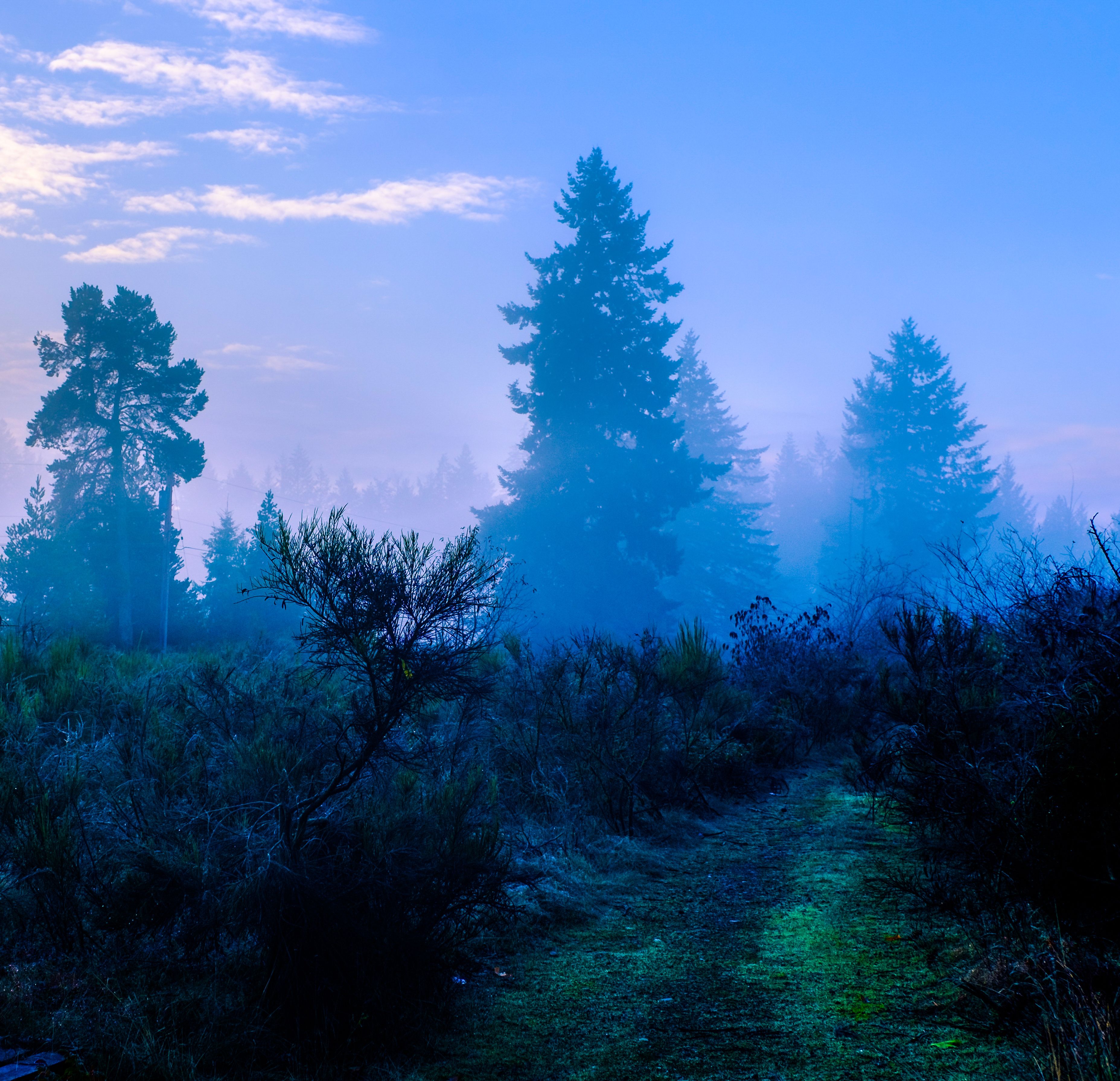 DSCF2816.jpg