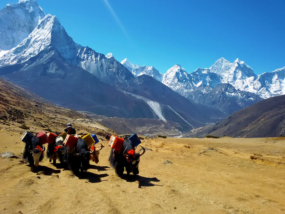 everest-trek-in-nepal.jpg