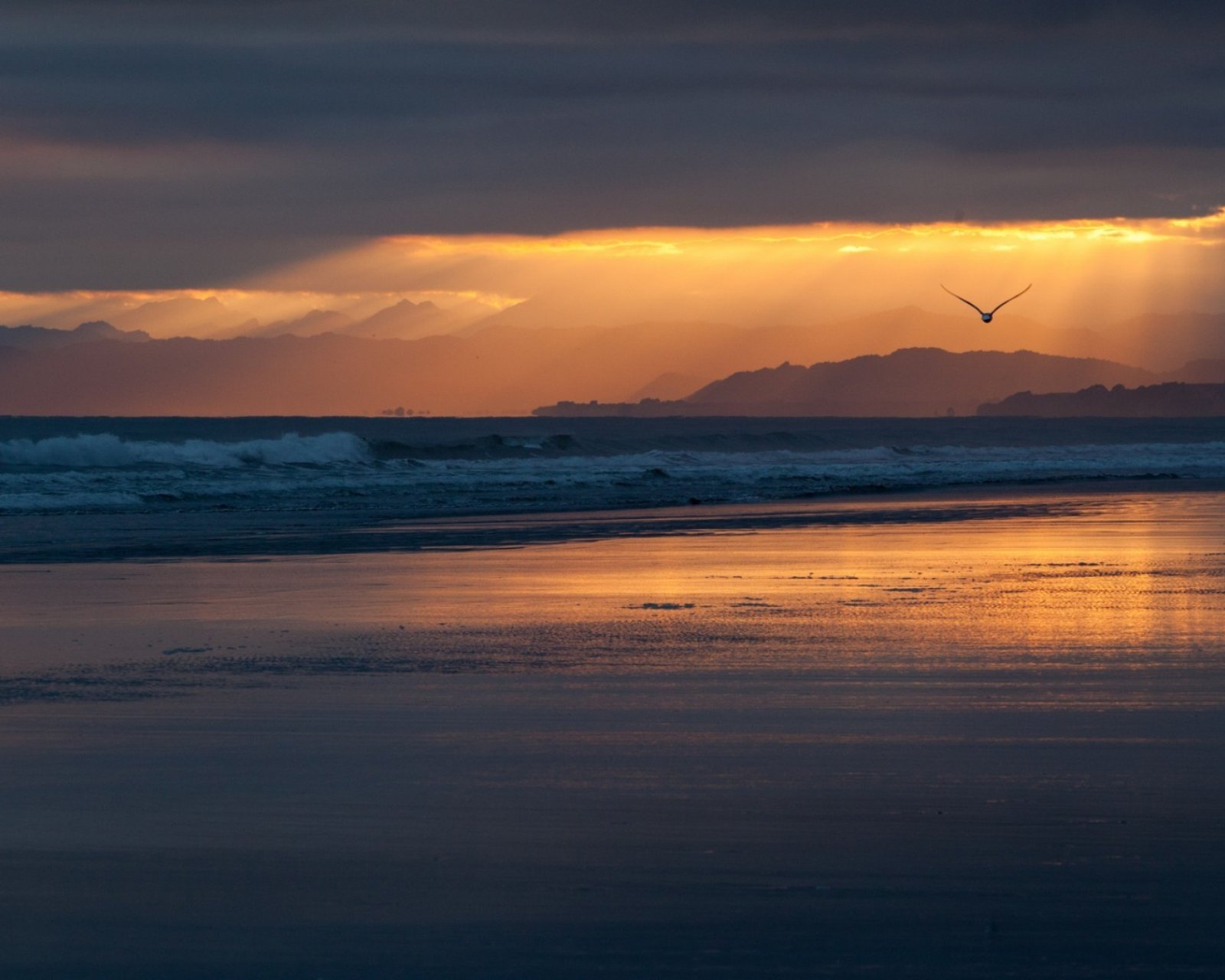 《飞鸟与夏花》每天一首自译飞鸟集（122/325） - Translate a poem form Stray Birds everyday