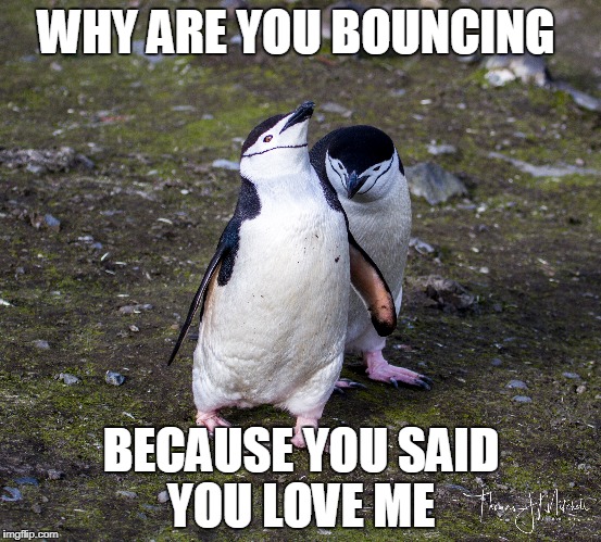 communication 1.jpg