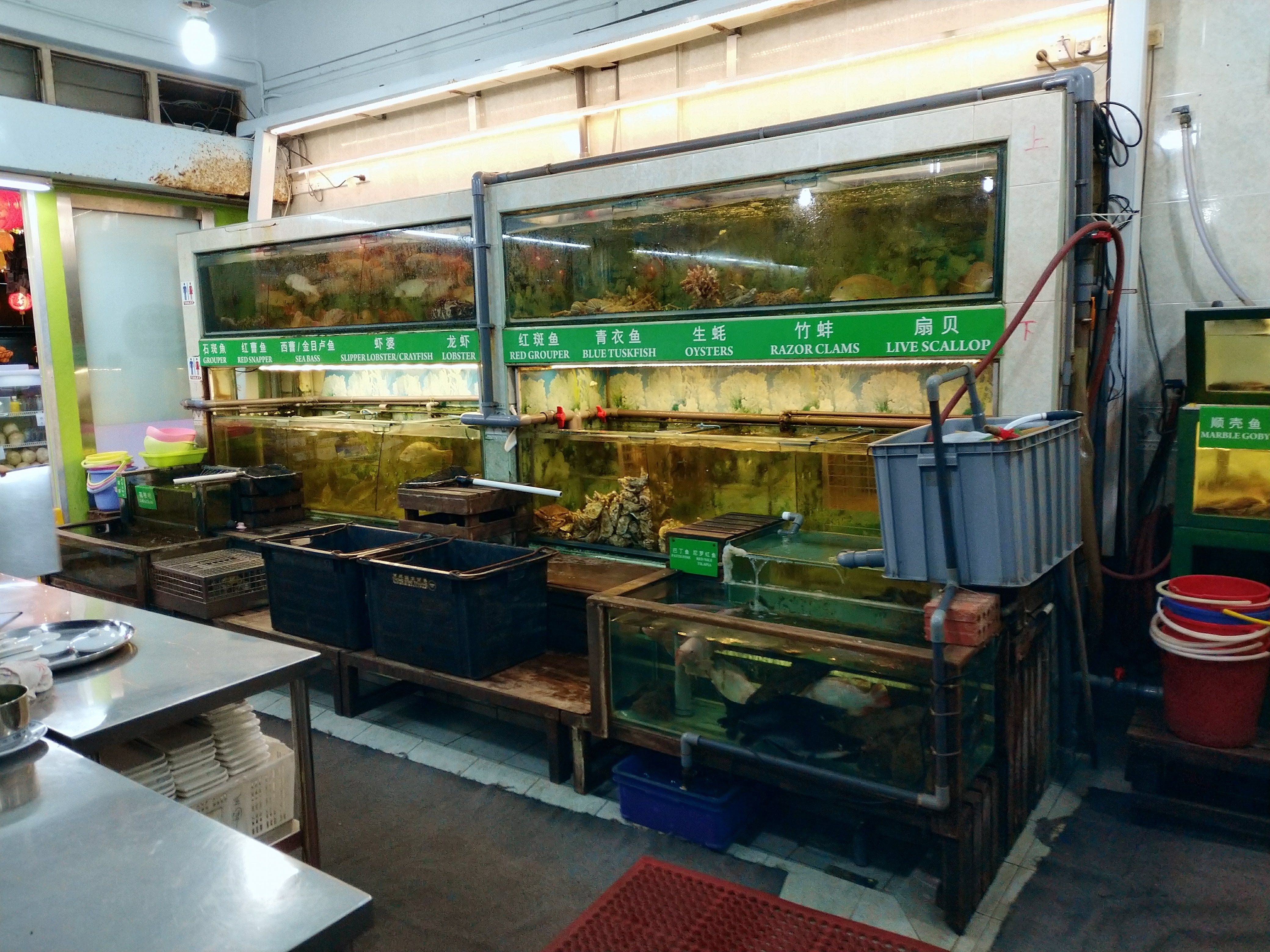 Singapore restaurant fresh seafood tanks