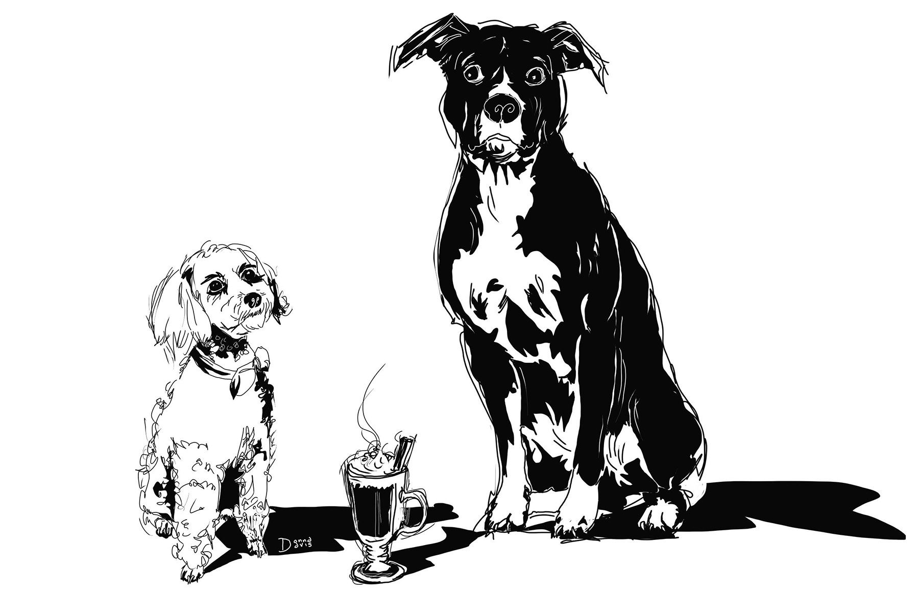 feb24dogsketch.jpg
