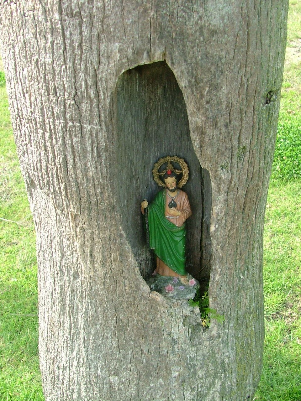 Jesus of the Treehole.JPG