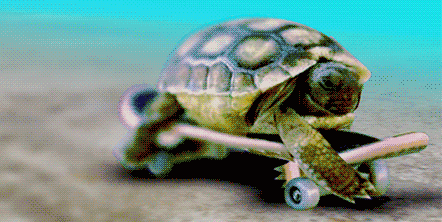 ezgif.com-crop (1).gif