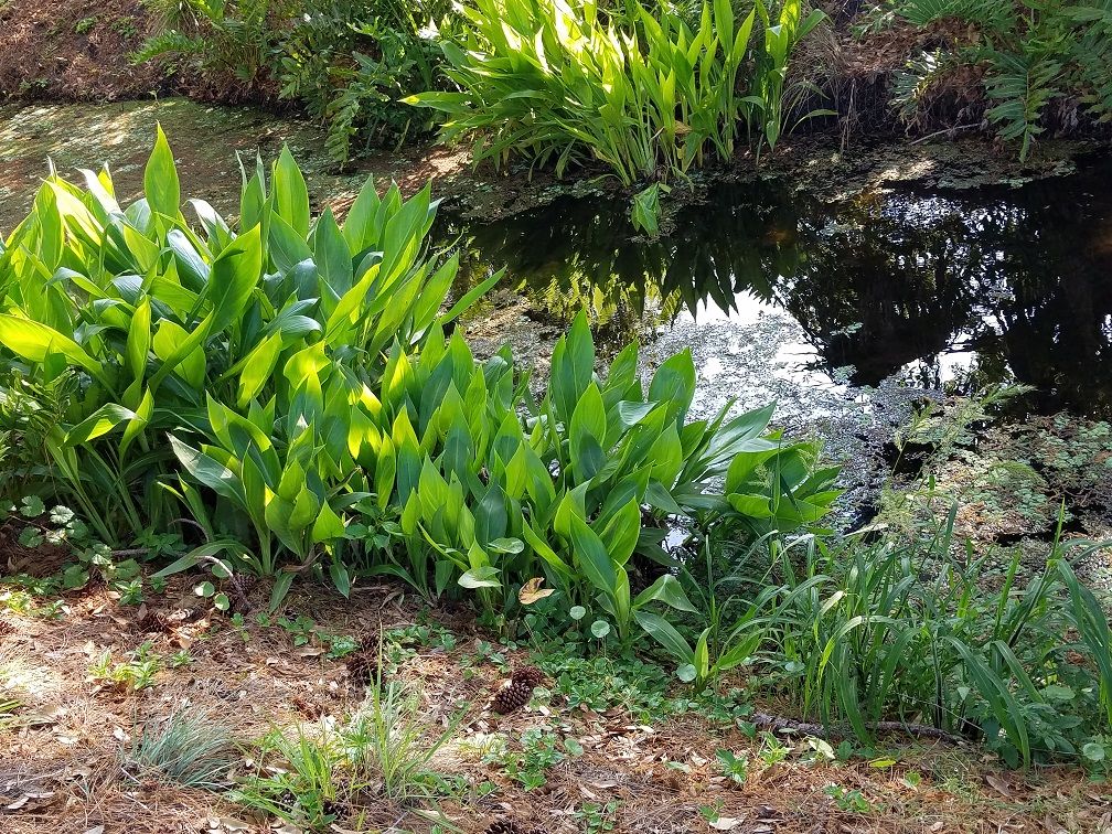 20180319_165936.jpg