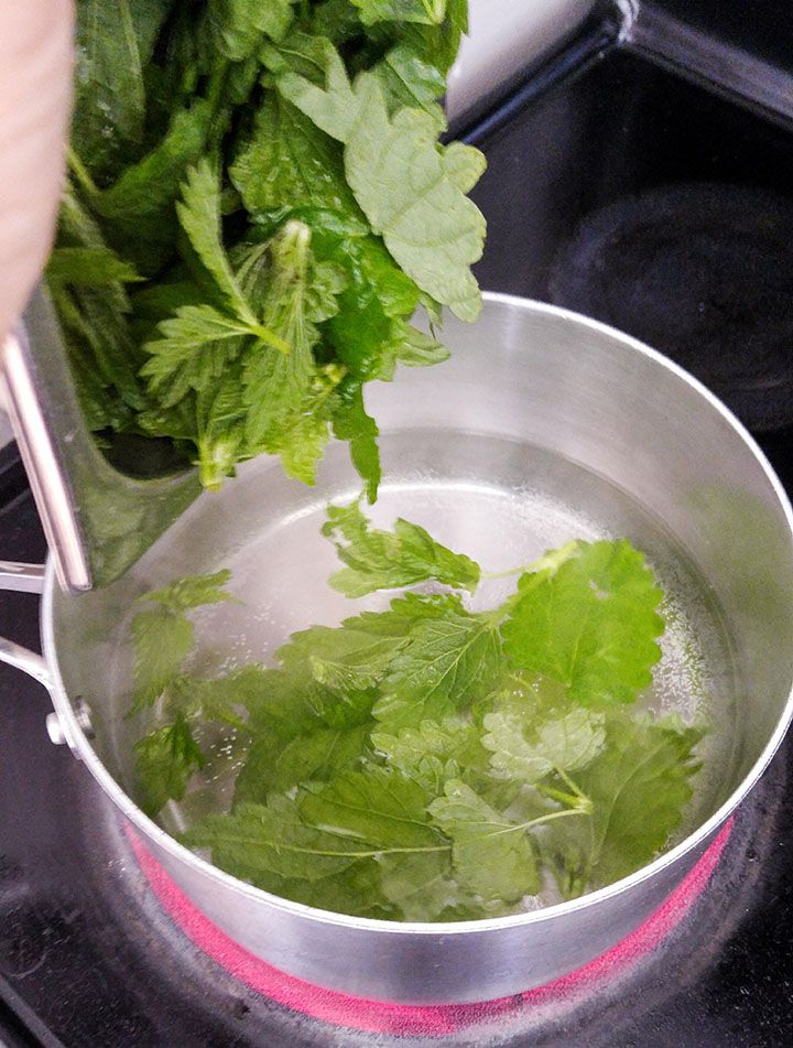 blanching nettle.jpg