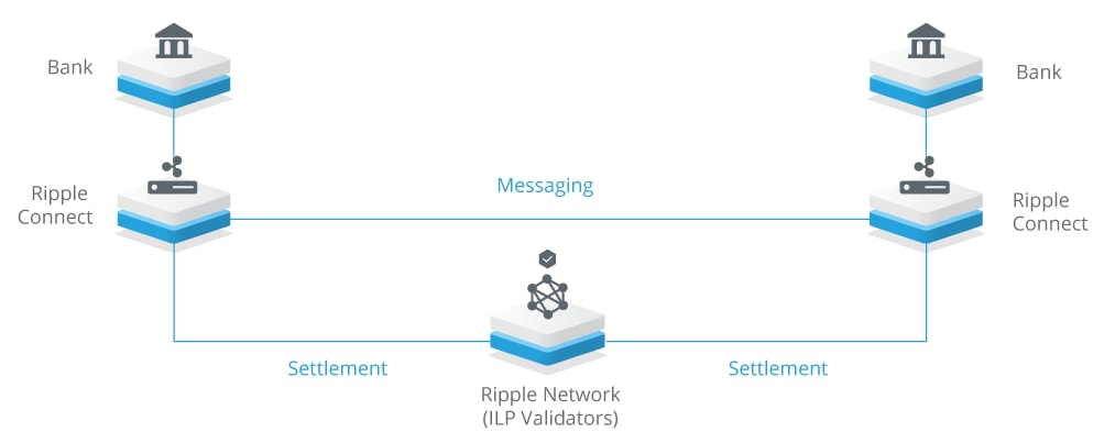 reseau_ripple.jpg