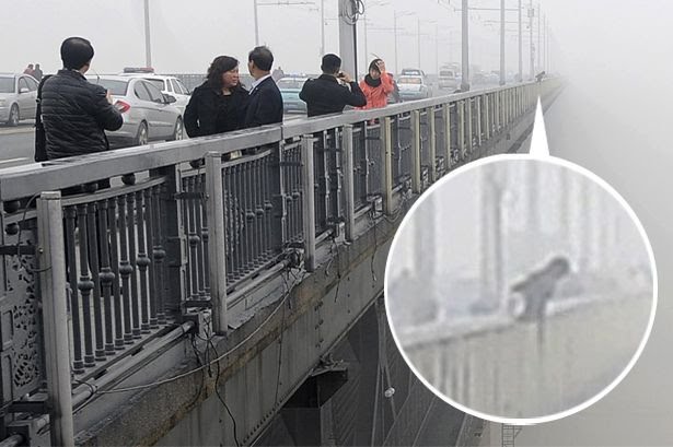 Sucide jump on the Wuhan Yangtze River Bridge (1).jpg