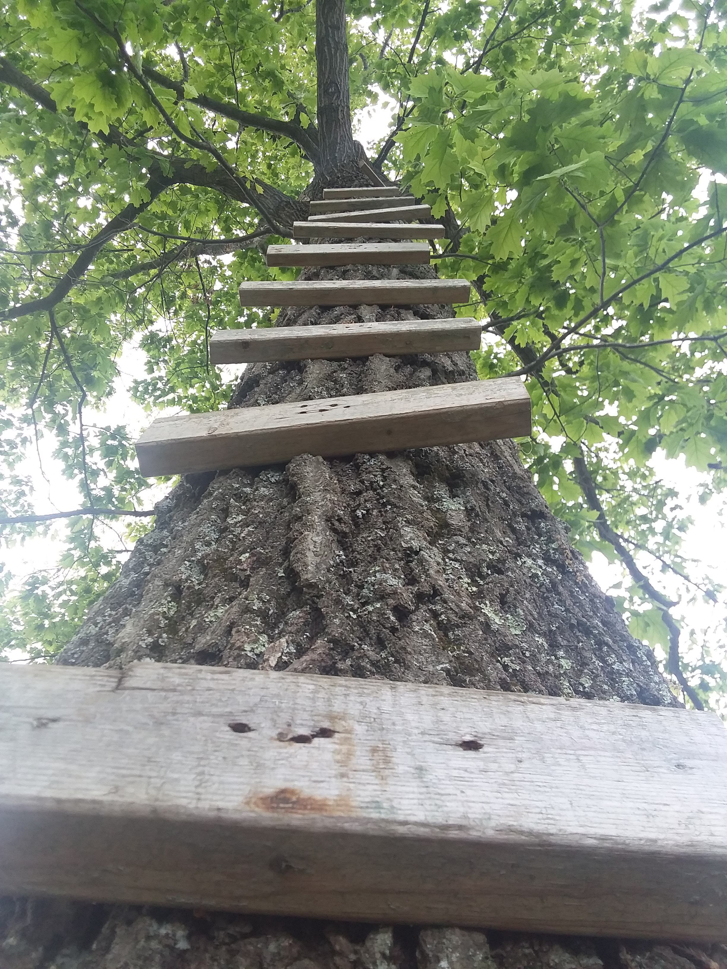 20180515_151629.jpg