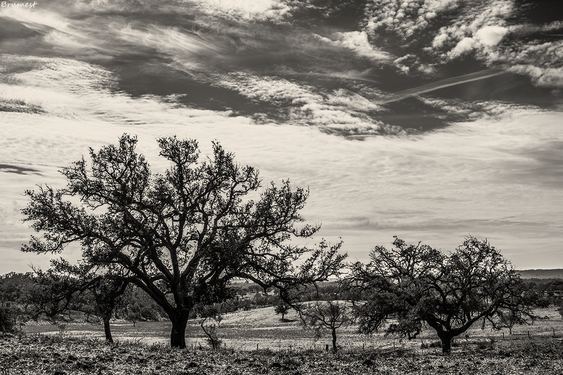 DSC00610-2-ST1.png
