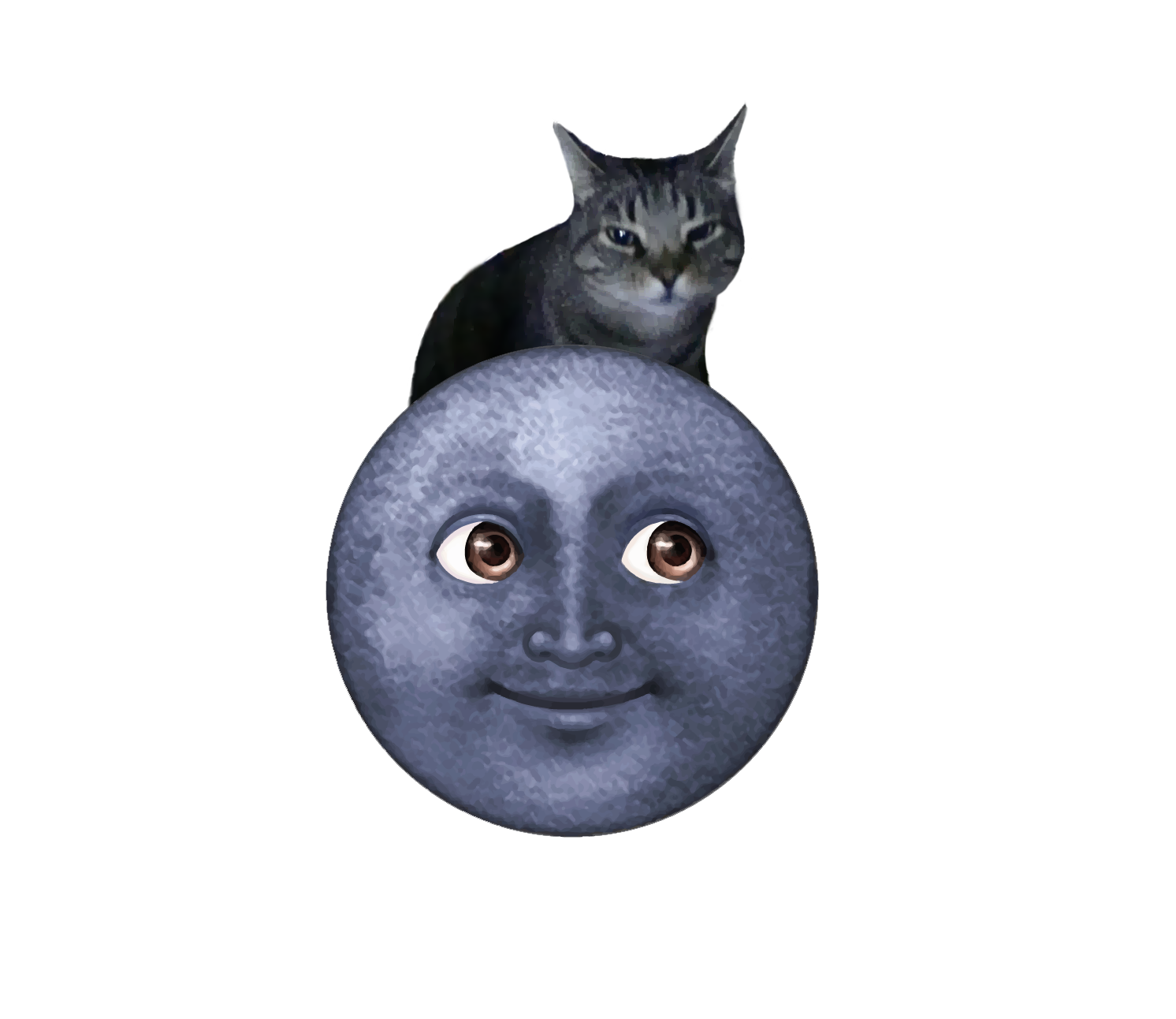 6 (2).png