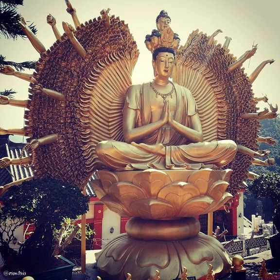 10 000 Buddha.jpg