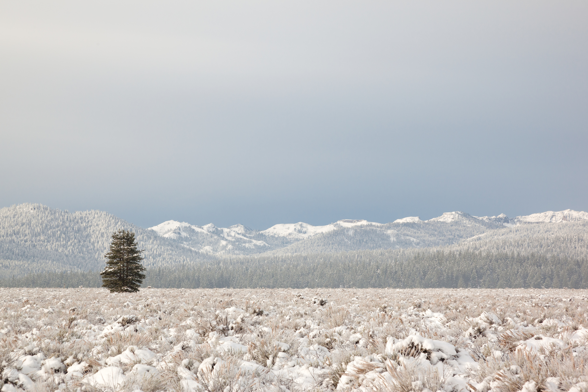 Snowy Martis Valley 4.jpg