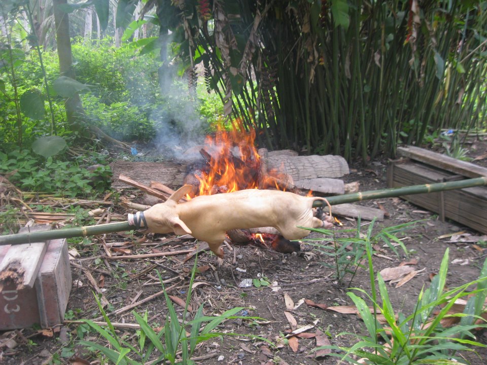 Lechon6.jpg