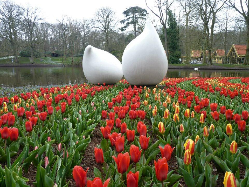 Keukenhof 1.jpg