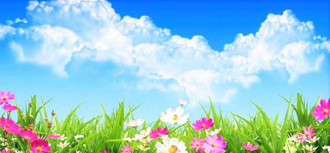 pretty-flowers-702x336.jpg