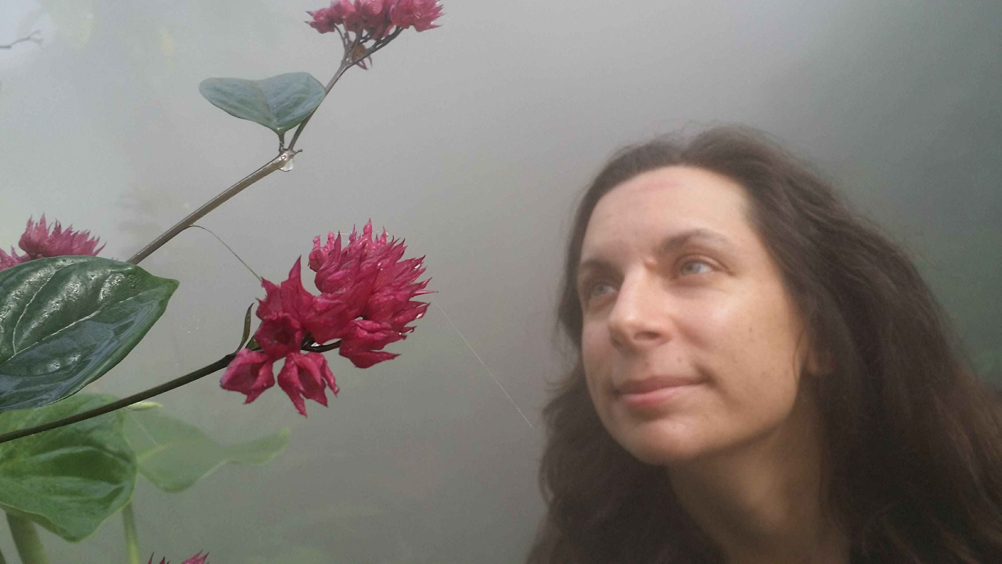 Denise_Chiappetta_FLowers_Greenhouse.jpg