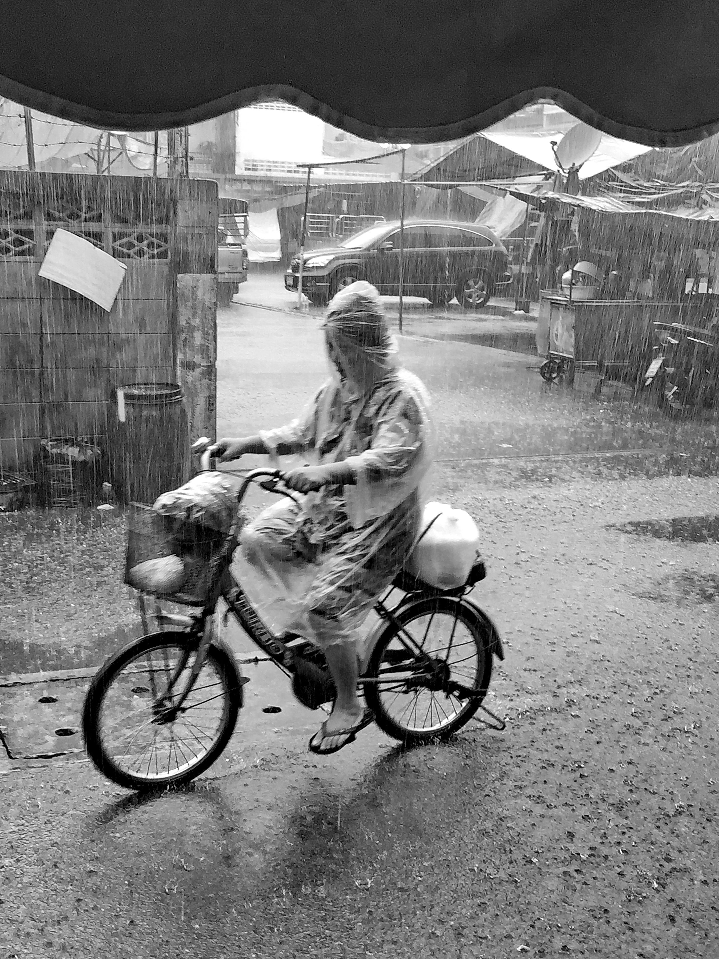 iPhone 6 Oct 12th 2017 rooftop garden 167.JPG