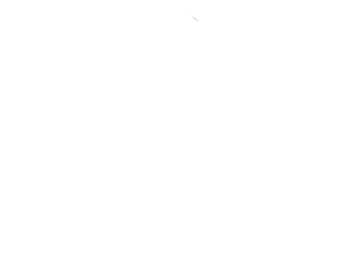 10.gif