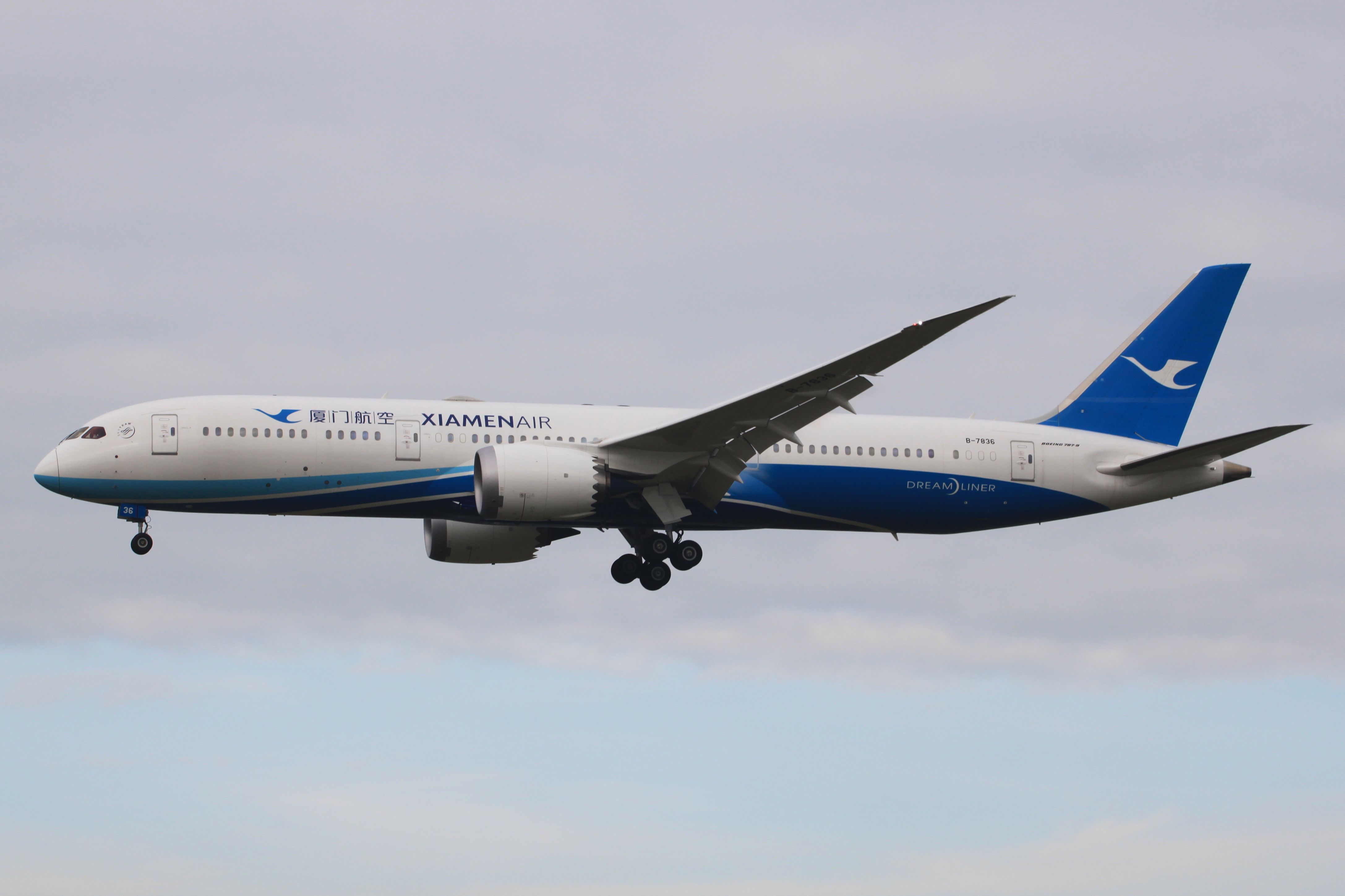 B-7836 Xiamen Air -B789.JPG