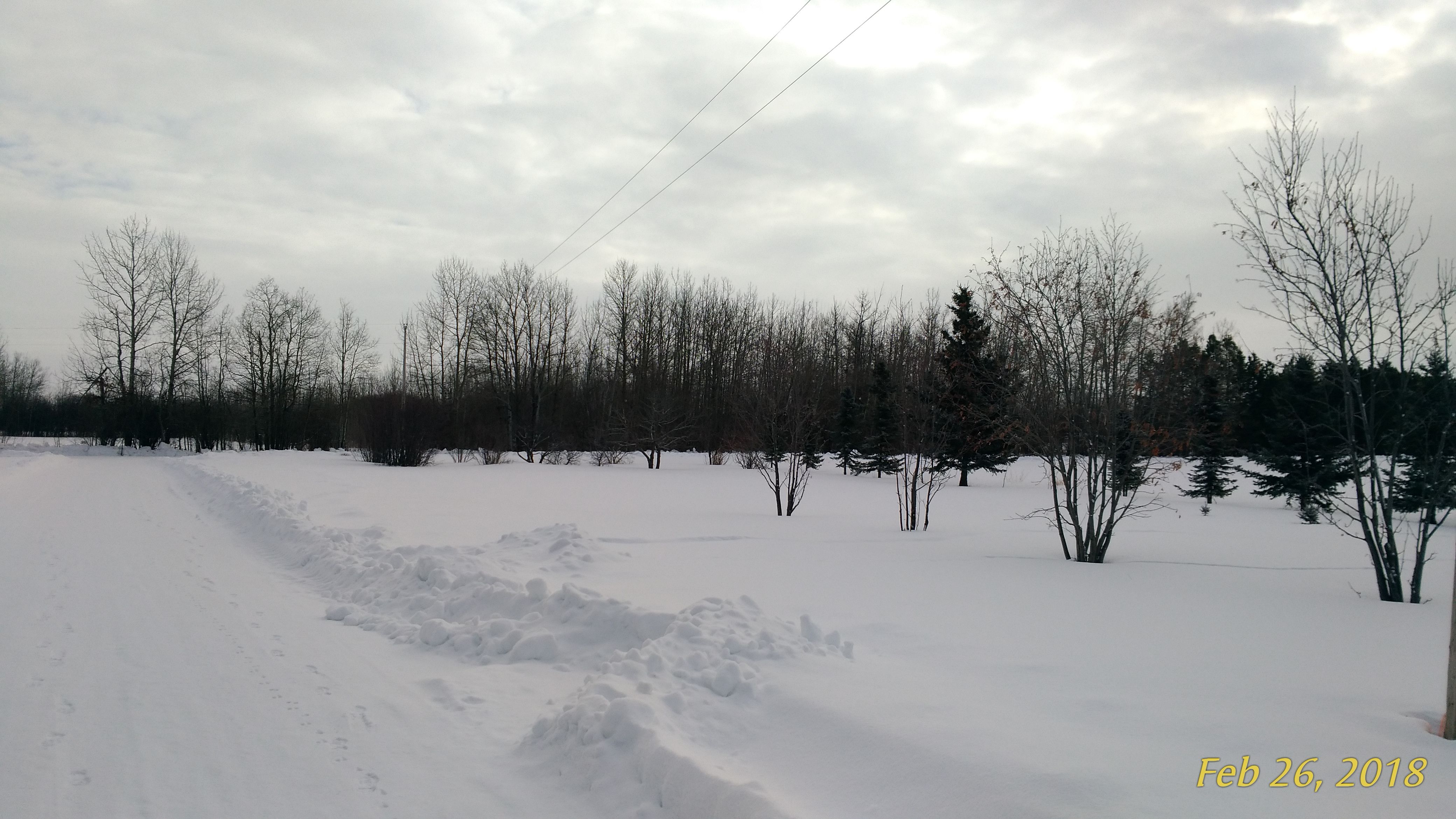 Winter February Alberta.jpg