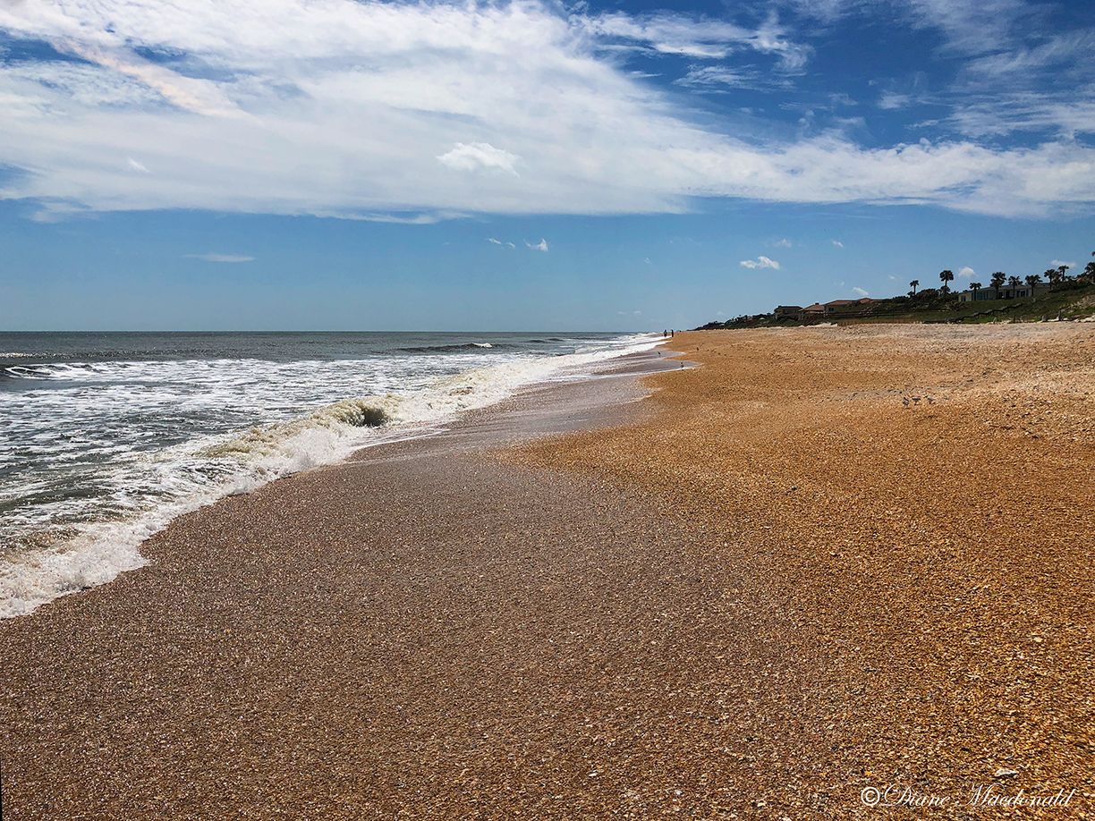 ponte vedra beach-7.jpg