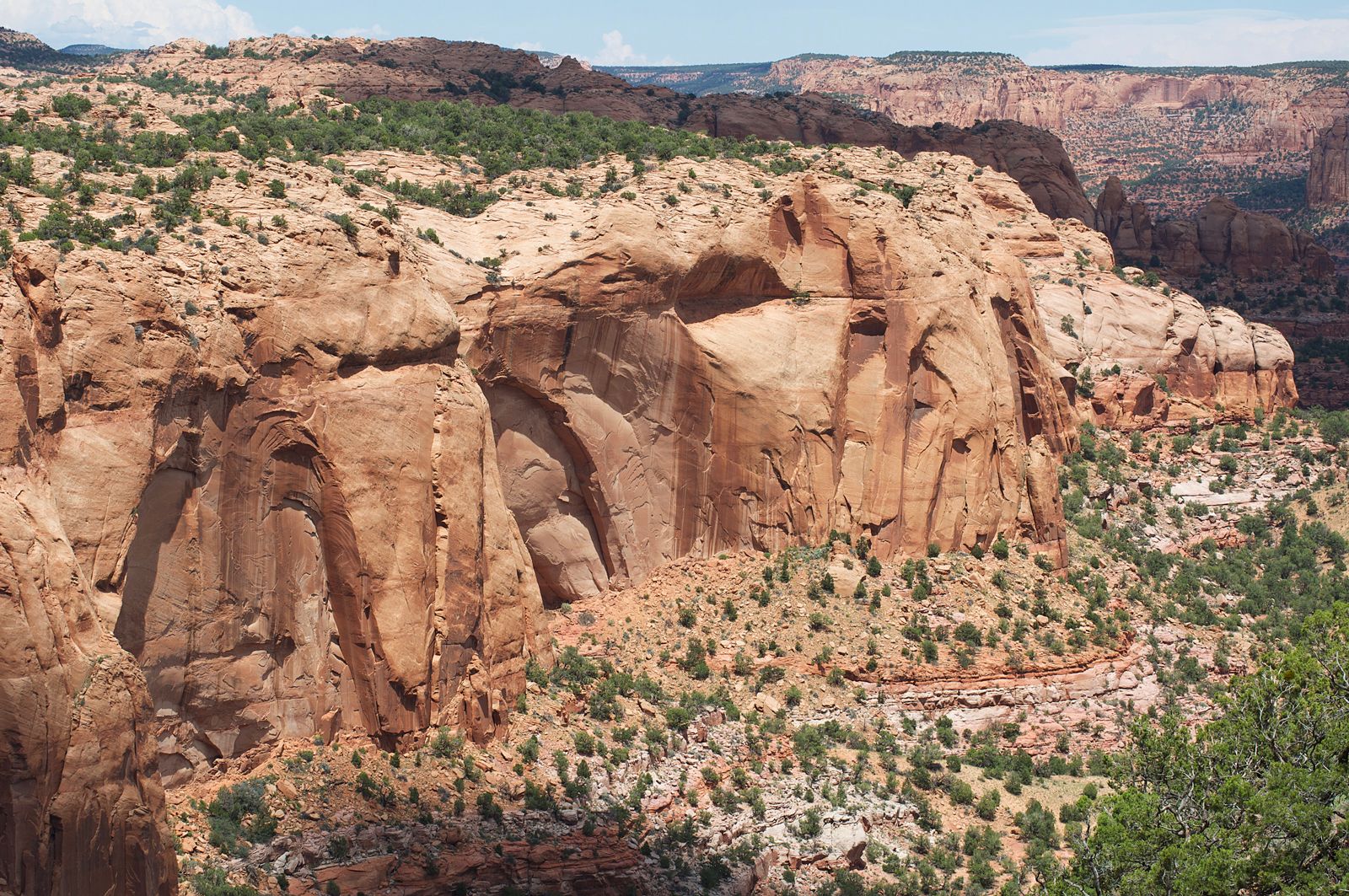 DesertScenery00a.jpg