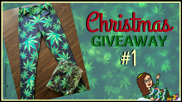 Christmas giveaway #1.png