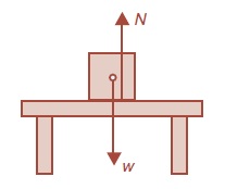 Berat-Gaya-Gravitasi-Dan-Gaya-Normal.jpg