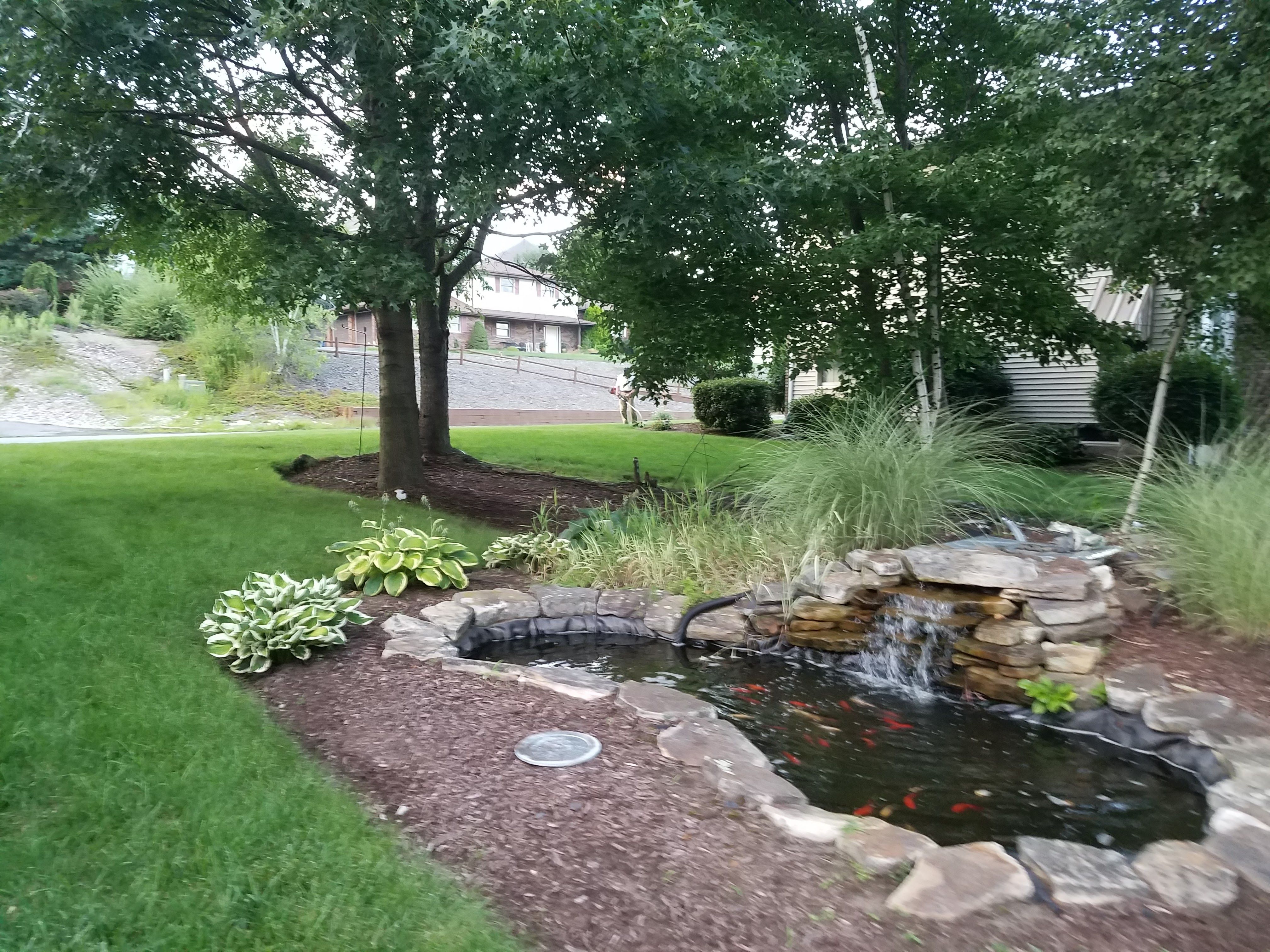 Landscape with pond.jpg