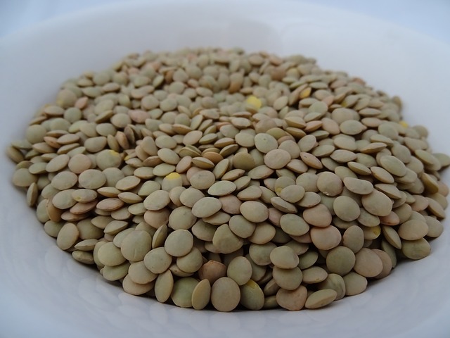 lentils-2790516_640.jpg