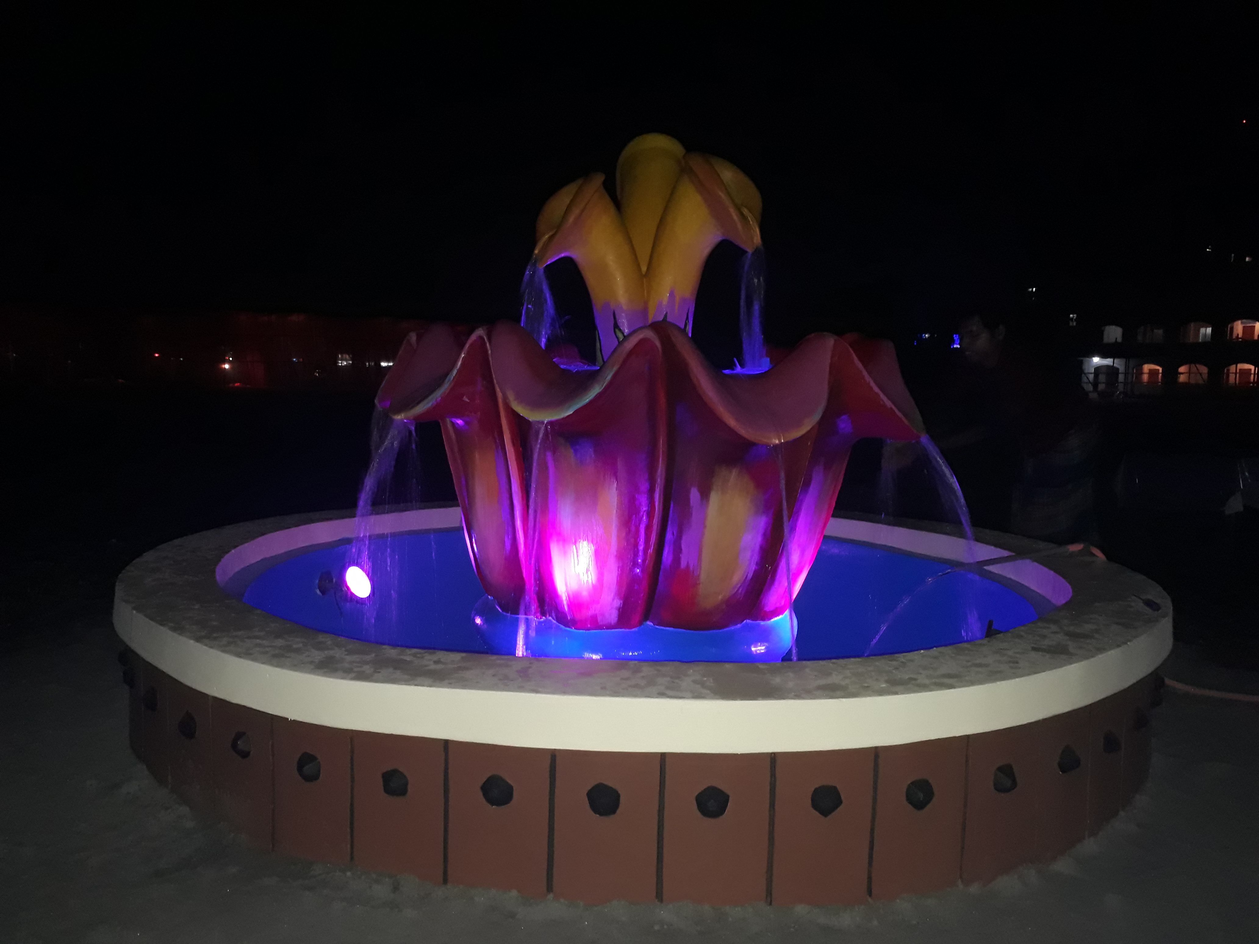 20180115_193530.jpg