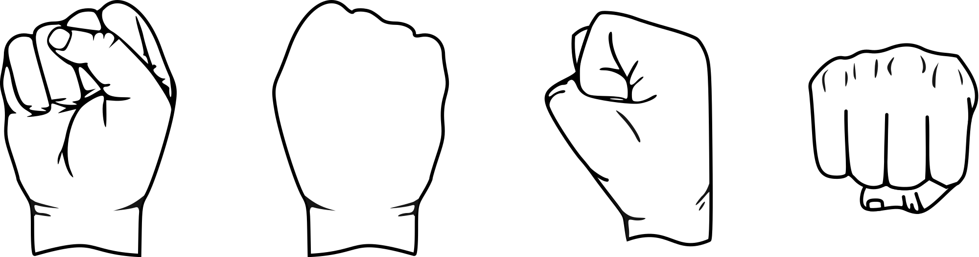 Human_fist_different_sides.svg.png
