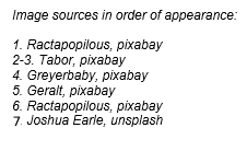 Sources.PNG