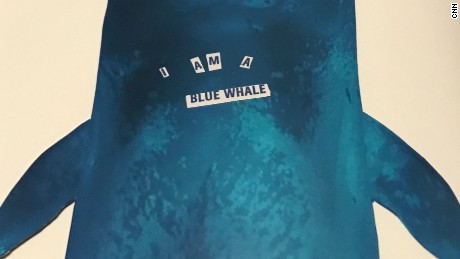 170714072810-03-blue-whale-game-large-169.jpg