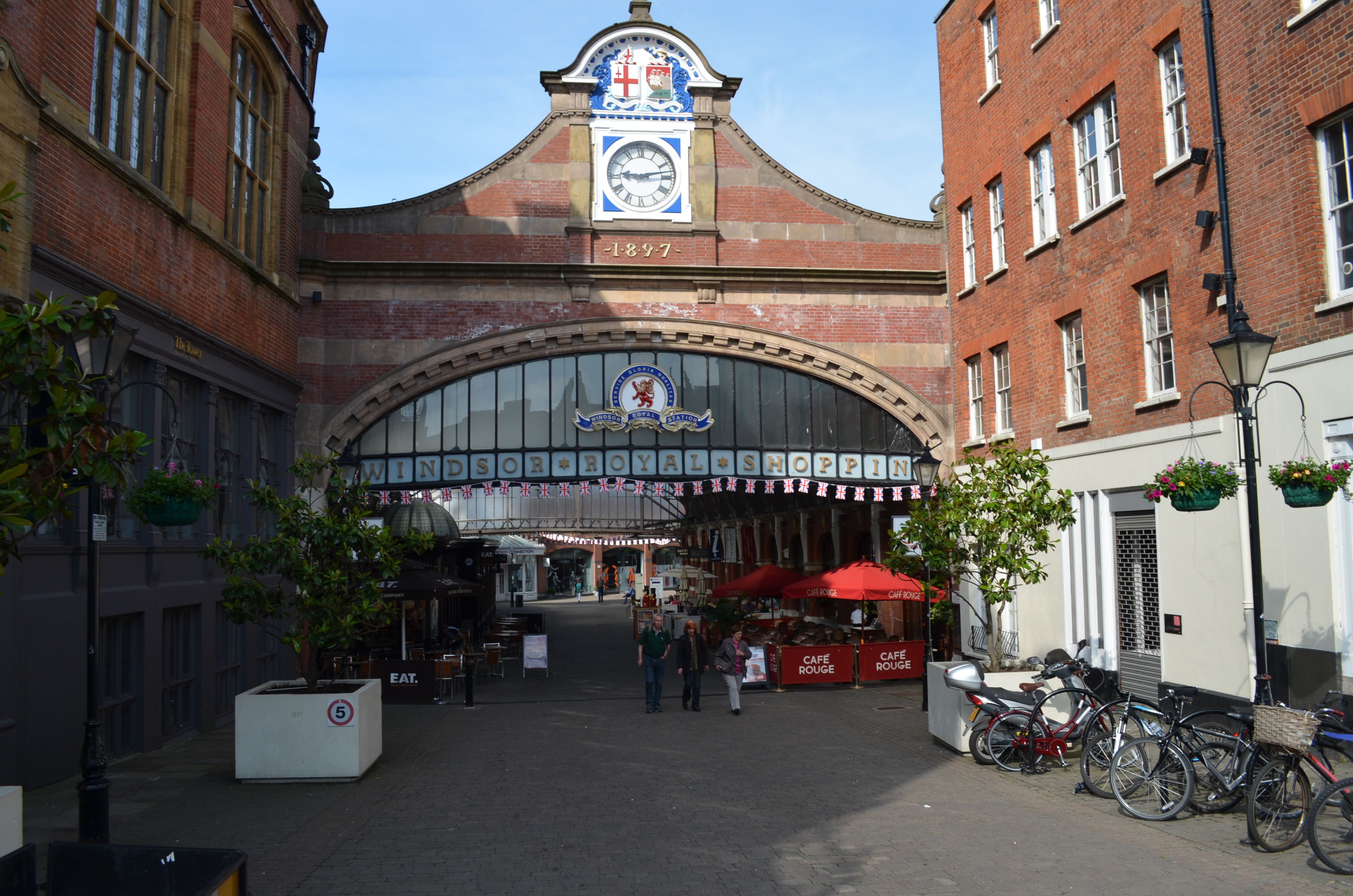 20140601_081557.JPG