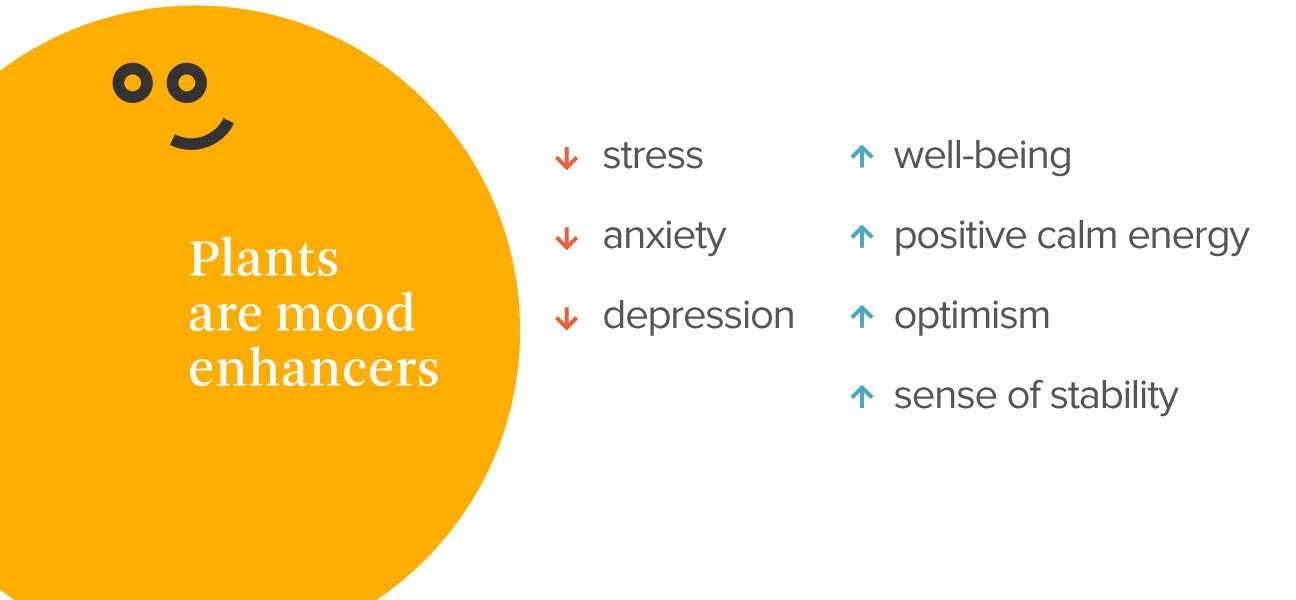 plants-infographic-v2-06.jpg