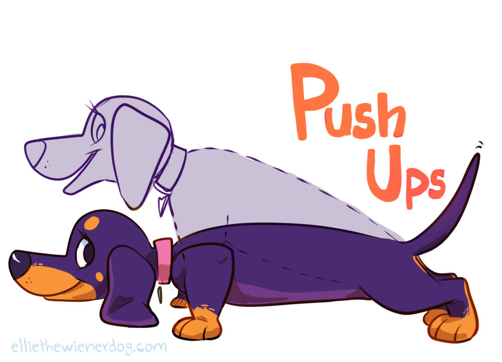 pushups dog.jpg