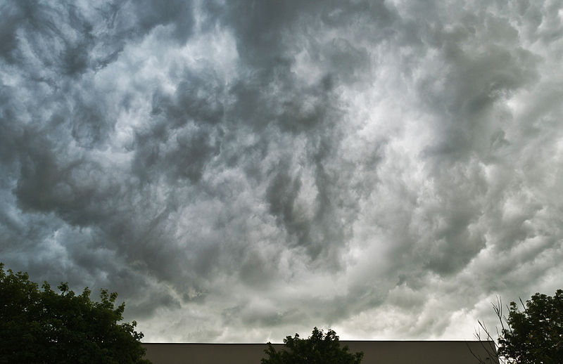 2014_Nimbostratus.jpg