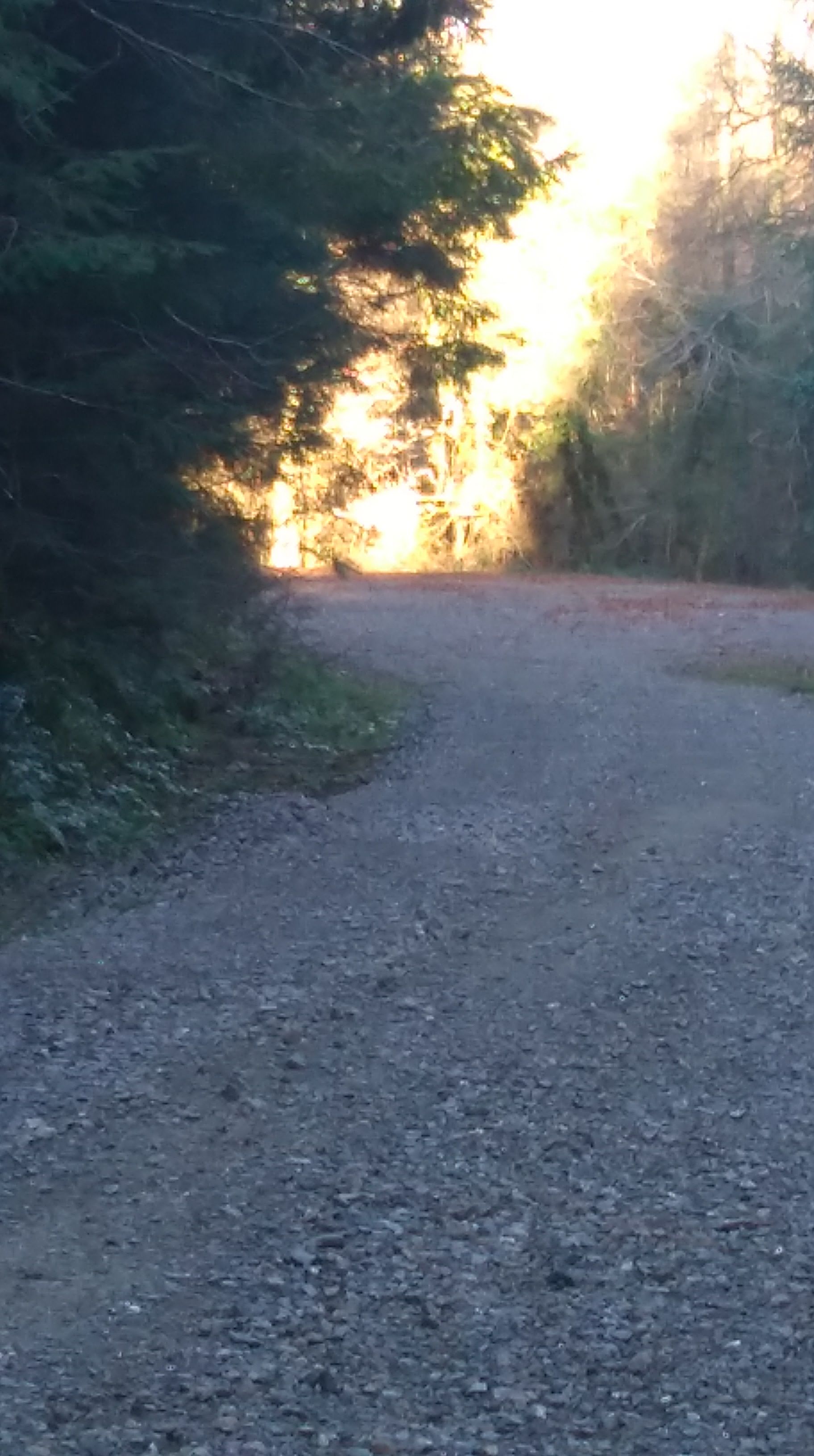 IMAG0916.jpg