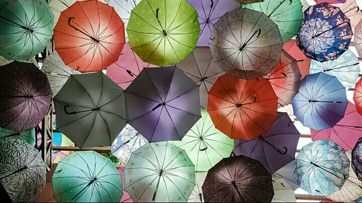 c.c_colorumbrella.jpg