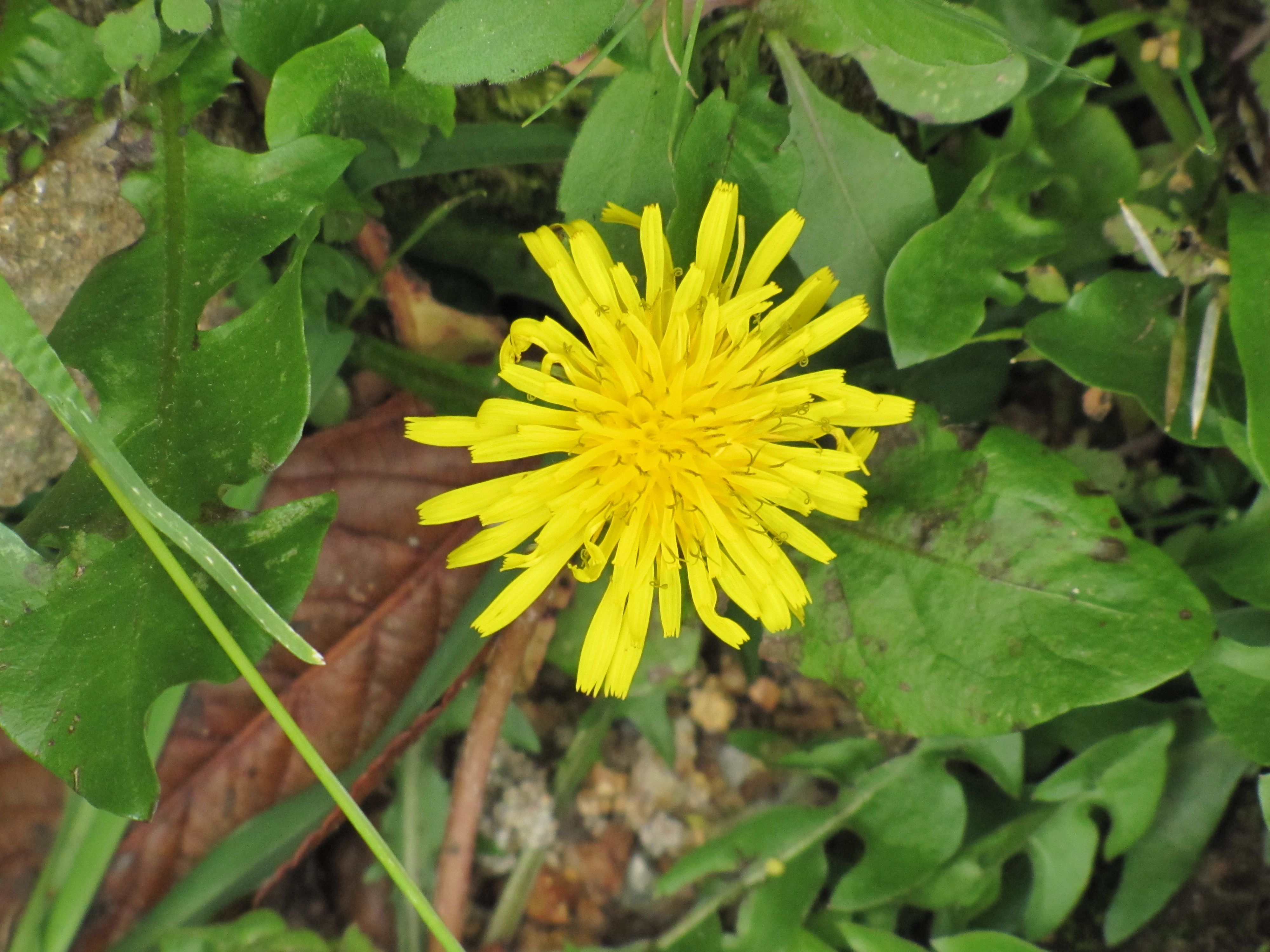 south trip 2013 630.jpg