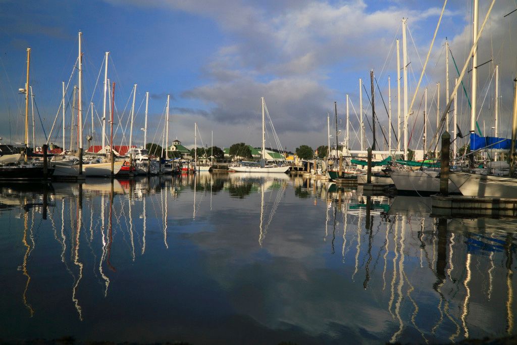 New Zealand Part 16.jpg