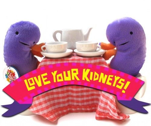 d6f99cec4f190cbb97c7084408b1957b--kidney-donor-kidney-health.jpg