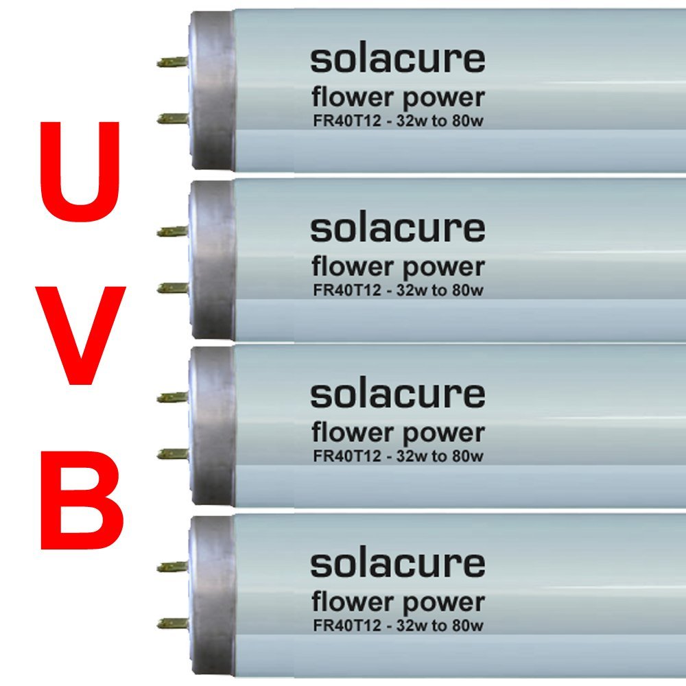 solacure uv bulbs