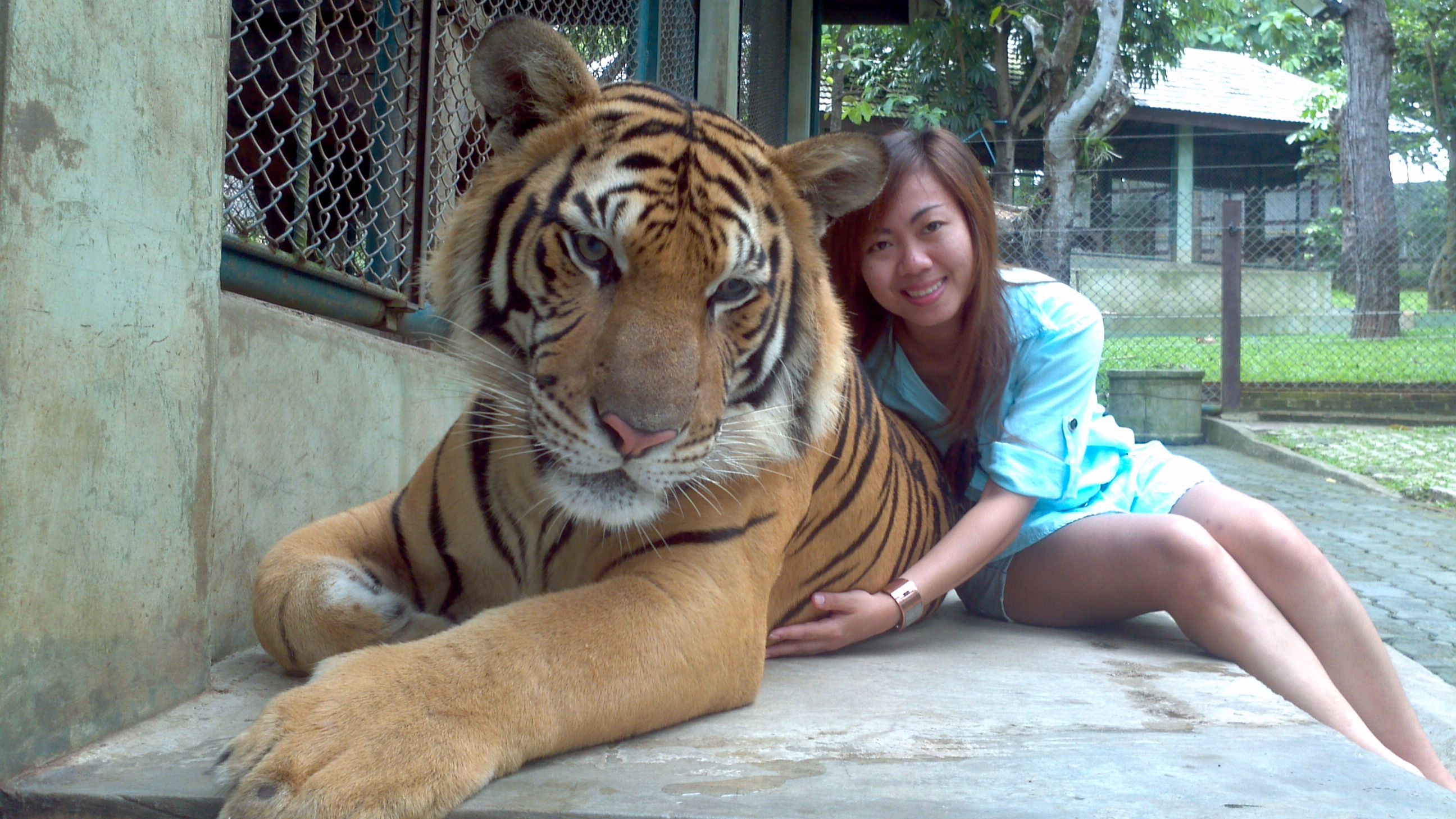 Just Surround Ourselves With People Who Believe What We Believe Tiger Kingdom Chiang Mai Thailand Steemit