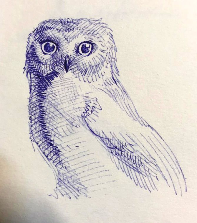 Owl_02.jpg