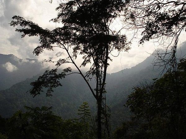 Parque-Nacional-Henri-Pittier2.jpg