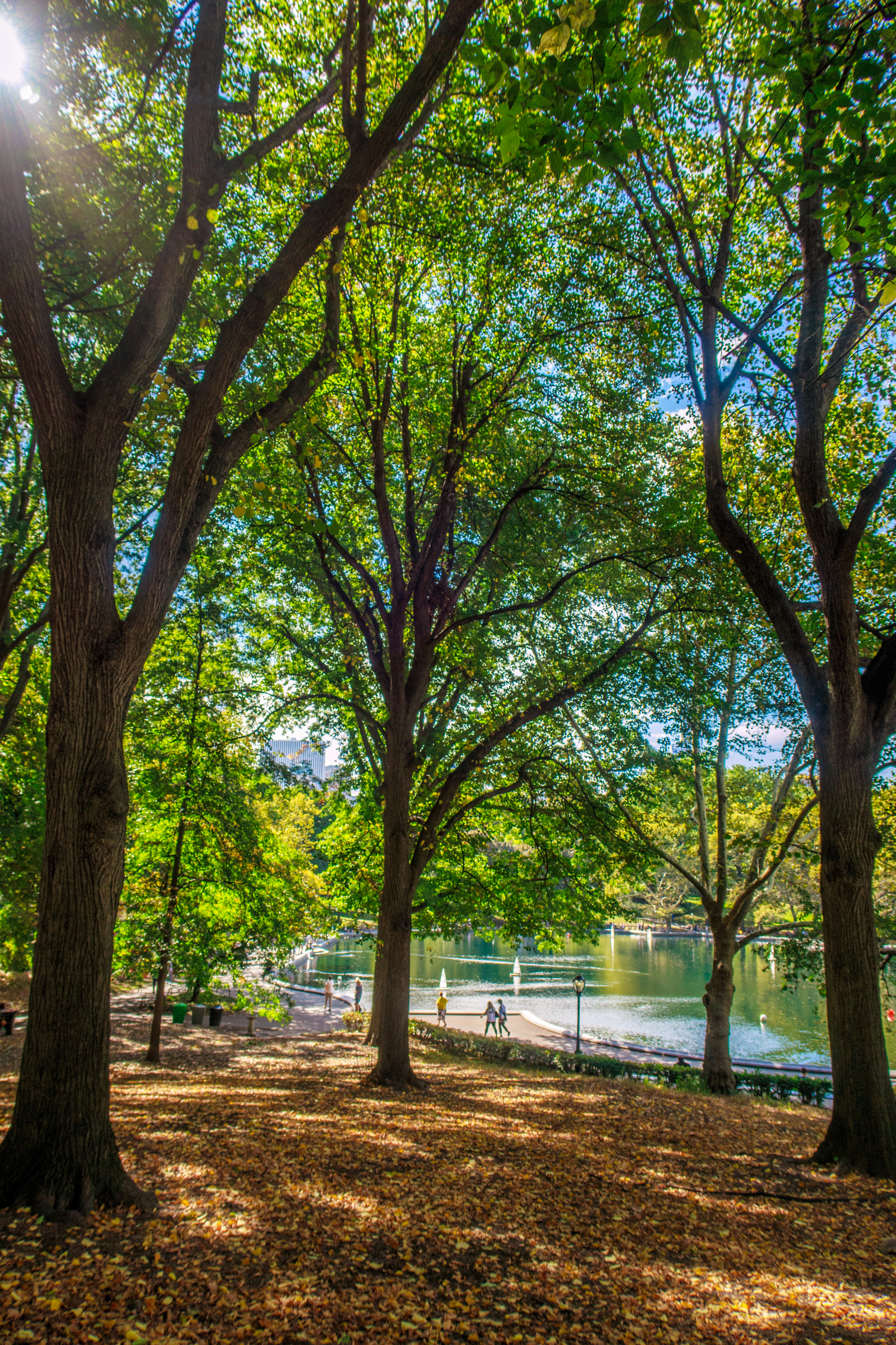 Central Park New York.jpg